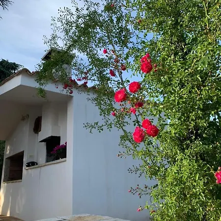 Il Trullo Di Francesca Ceglie Messapica